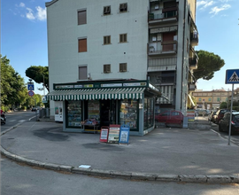 Attività con locale e terreno di proprietà