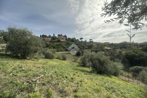 TER. RESIDENZIALE A CASTELNUOVO DI PORTO