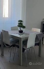 Tavolo in vetro allungabile