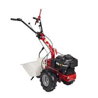 Mtc (con fresa) eurosystems p55 honda 166 cc