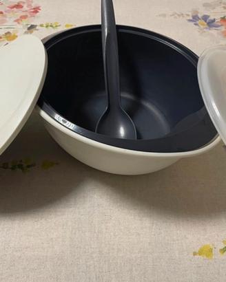 Servicaldo Tupperware usato