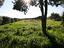 Immagine 18