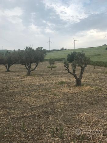 Catanzaro località apostolello terreno