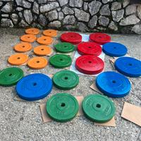 Dischi palestra cemento