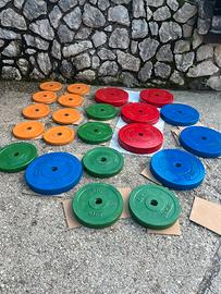 Dischi palestra cemento