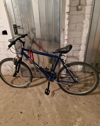 bici da ragazzo