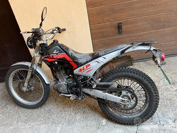 beta alp 200