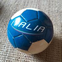Pallone da calcio