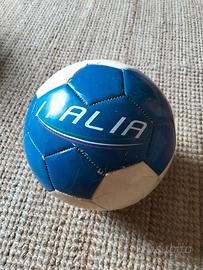Pallone da calcio