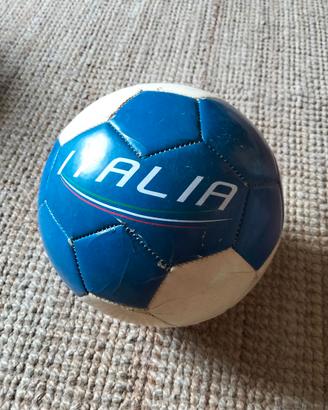 Pallone da calcio