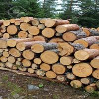 LEGNA PER CAMINETTI E STUFE