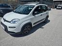 fiat-panda-1-0-gse-s-s-hybrid-pop-van-2-posti