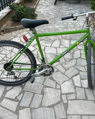 Bicicletta