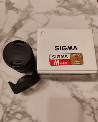 SIGMA 28-70 f2.8 DG DL - L MOUNT