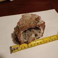 minerali e pietre da collezione geode quarzo