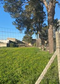 Oria vendita terreno edificabile