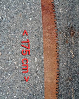 Antica sega da boscaiolo