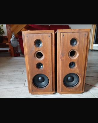 Casse acustiche in legno