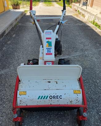 Trattorino tagliaerba trincia 2 ruote 