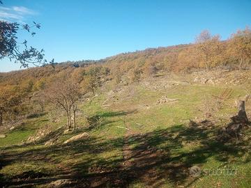 Terreno con rudere in toscana