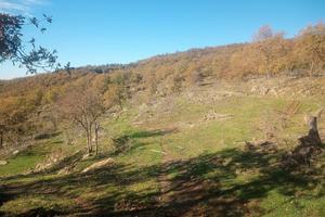 Terreno con rudere in toscana