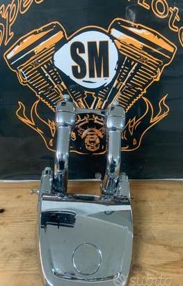 Supporto Faro Completo di Raiser per Harley-Davids