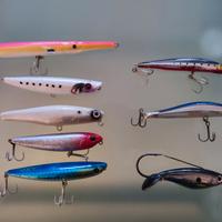 Lotto Wtd e Jerk spigola