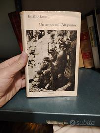 Un anno sull'Altipiano