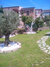 Villetta a San Teodoro centro