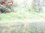 Immagine 20