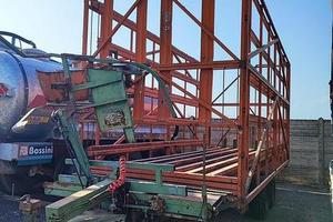 Caricaballine Omas G.160