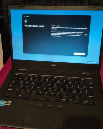 Acer Chromebook 314