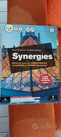 libro synergies 1