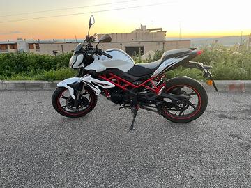 benelli bn 125