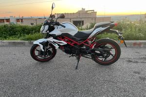 benelli bn 125