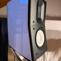 Raidho C 1.1 con stand dedicati