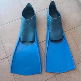 pinne snorklinhlg Nabaiji