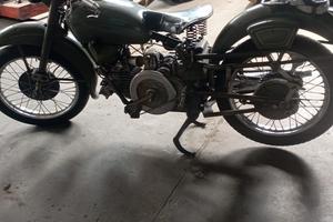moto Super Alce cc500