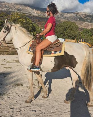 Cavallo