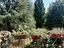 Immagine 10