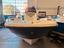 Immagine 12