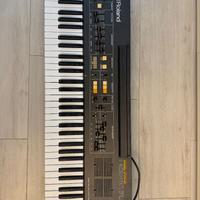 Sintetizzatore vintage Roland EP6060 Combo piano