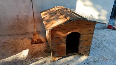 cuccia casetta per cane grande taglia 