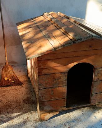 cuccia casetta per cane grande taglia 