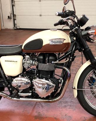 Triumph Bonneville T100  cafe racer