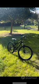 Atala 24”