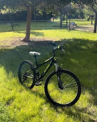 Atala 24”