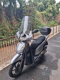 sh 300 del 2009