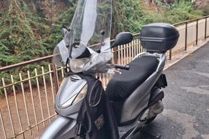 sh 300 del 2009