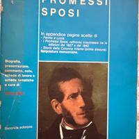 I promessi sposi